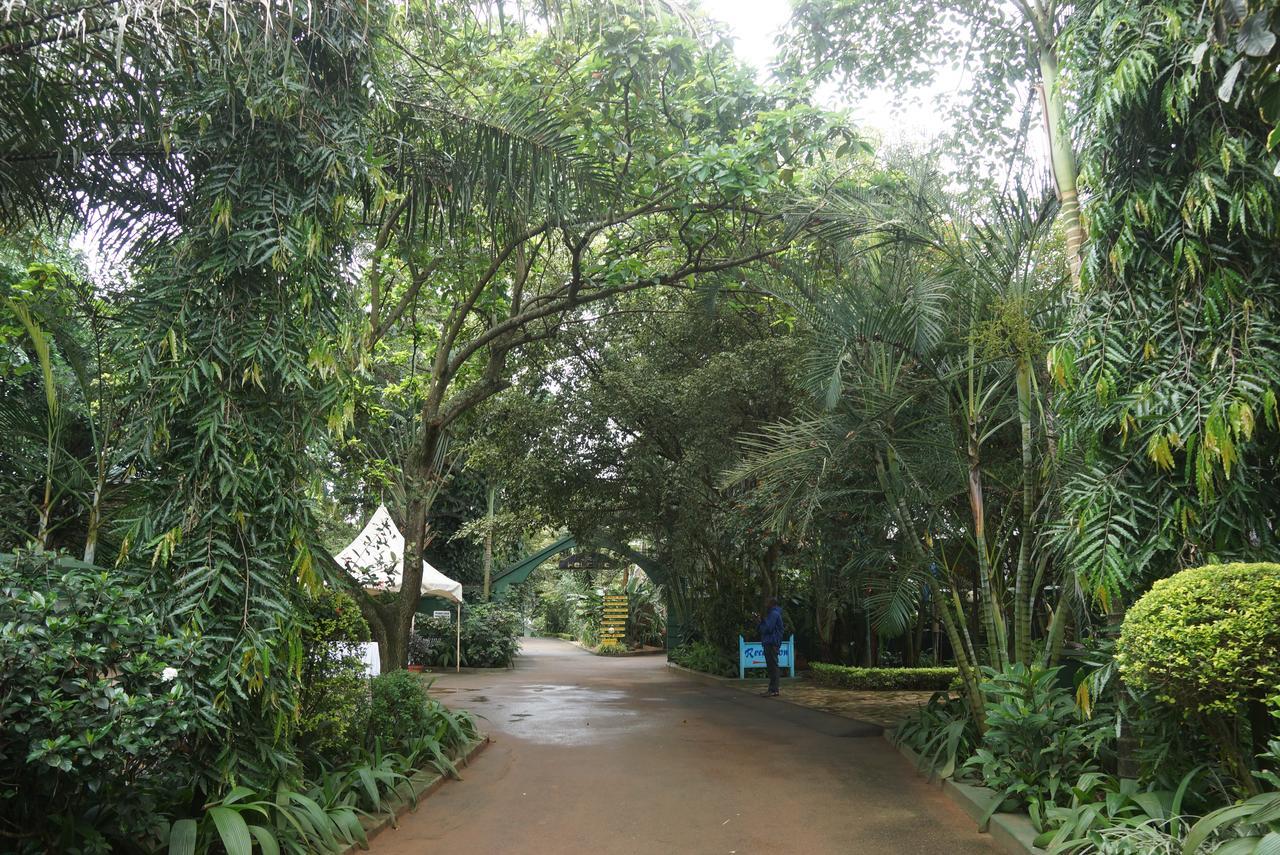 Country Lake Resort Garuga Entebbe Bagian luar foto